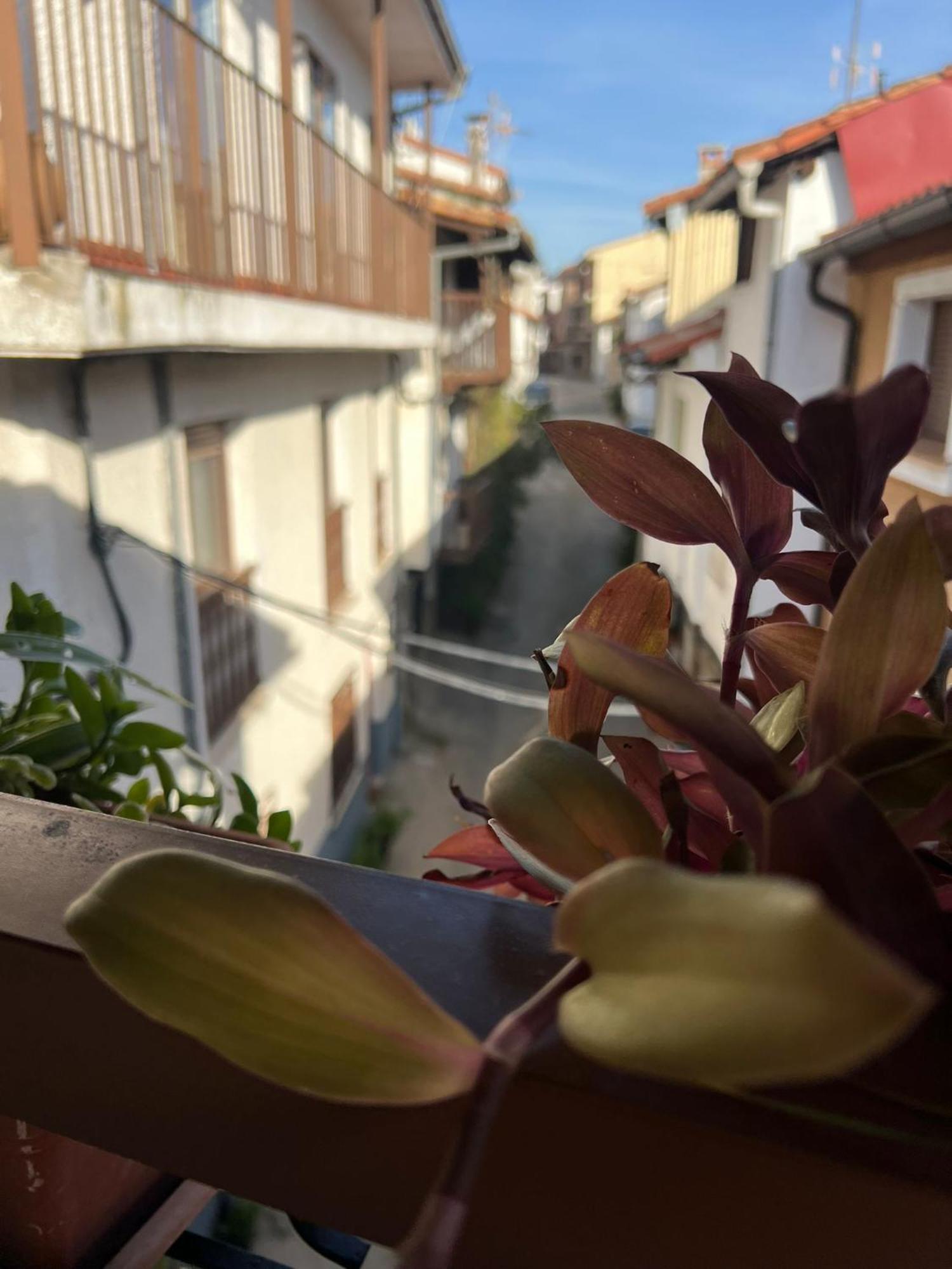 La Golondrina Apartment Candeleda Exterior photo