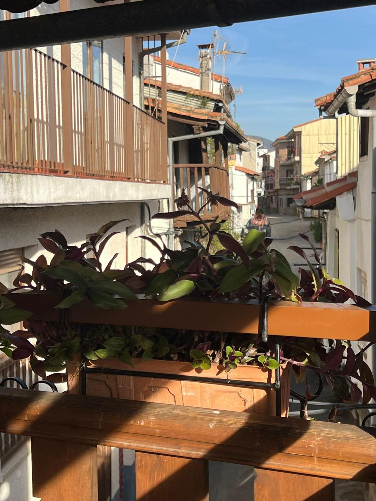 La Golondrina Apartment Candeleda Exterior photo